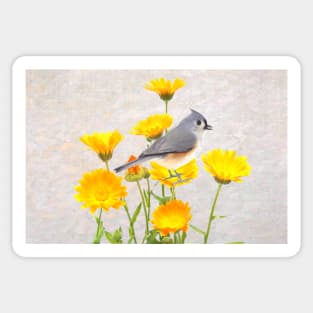 Tufted Titmouse Perched in a Marigold Flower Patch Sticker